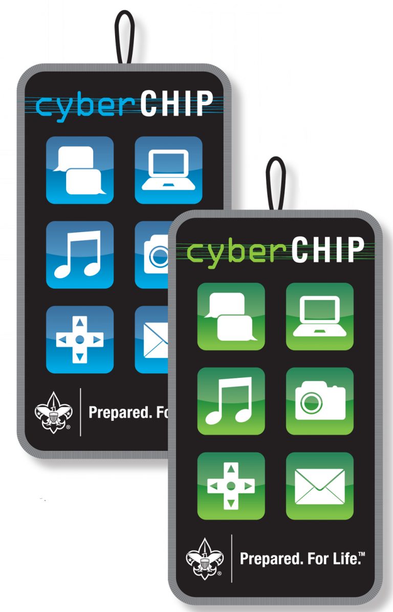 BSA Cyber Chip patch