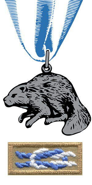 The Silver Beaver Award and knot patch
