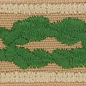 The Scouter's Training Award is a khaki rectangular patch with a double green knot