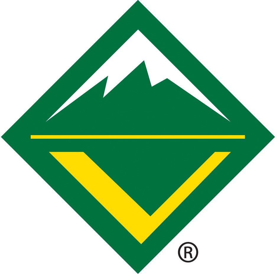 The green diamond with white pack and yellow V detail of the Venturing BSA logo